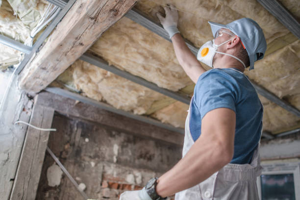 Best Specialty Insulation in Roswell, GA