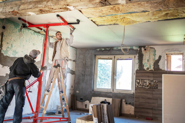 Best Insulation Maintenance and Repair in Roswell, GA