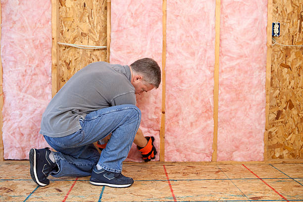 Best Insulation for Specific Applications in Roswell, GA