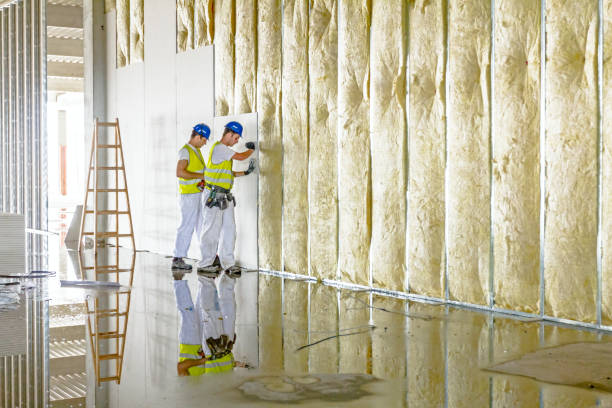 Best Residential Insulation in Roswell, GA